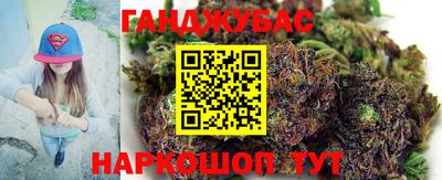 прущие грибы Брянск