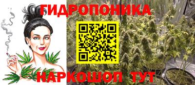 прущие грибы Боровичи