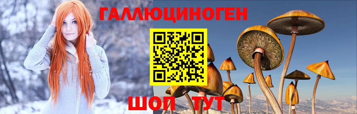 Псилоцибиновые грибы мухоморы  Вход с VPN  Гай 