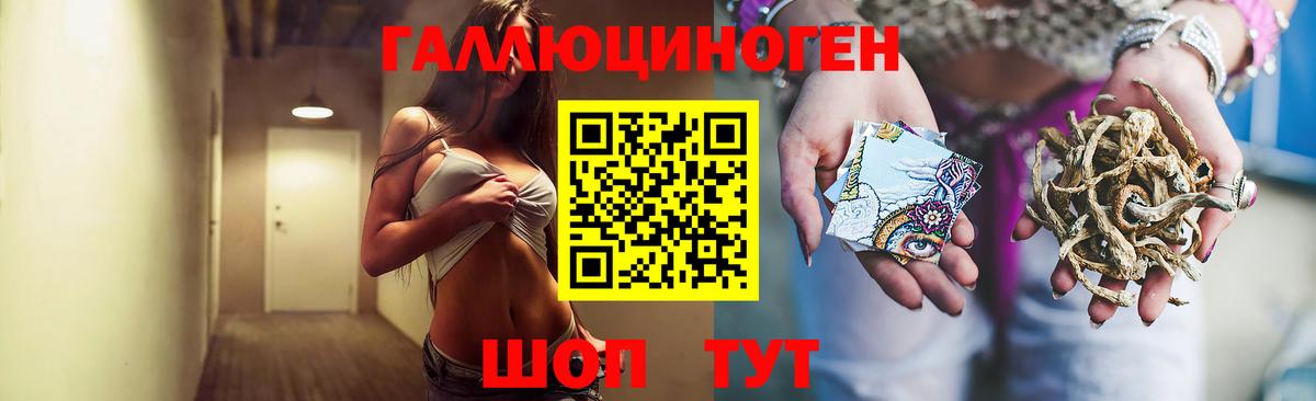 Псилоцибиновые грибы ЛСД Гай